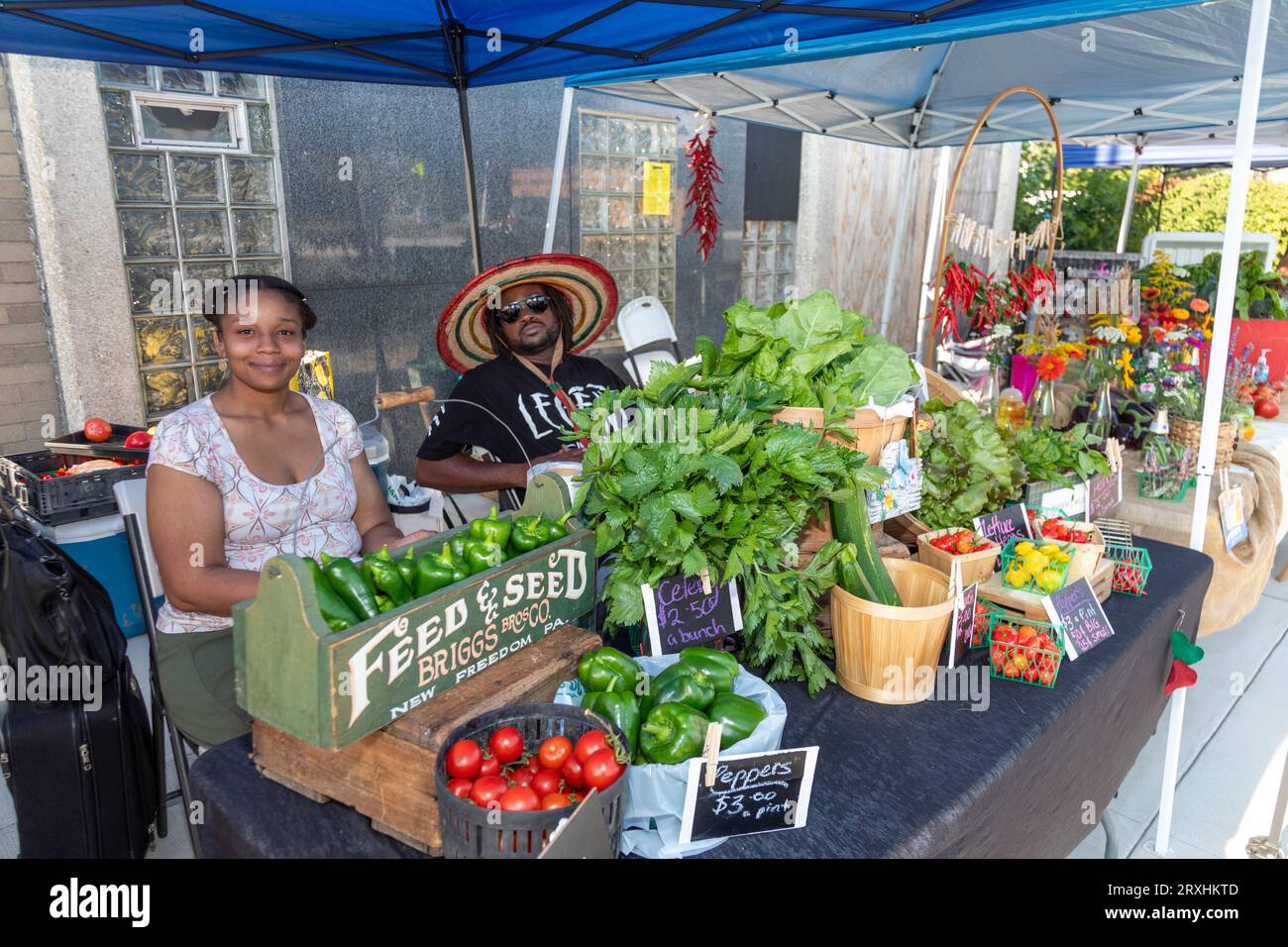 Detroit, Michigan - El East Warren Fest ofreció comida, música y artesanías en los barrios de East English Village y Morningside en reconstrucción de la ciudad. Foto de stock