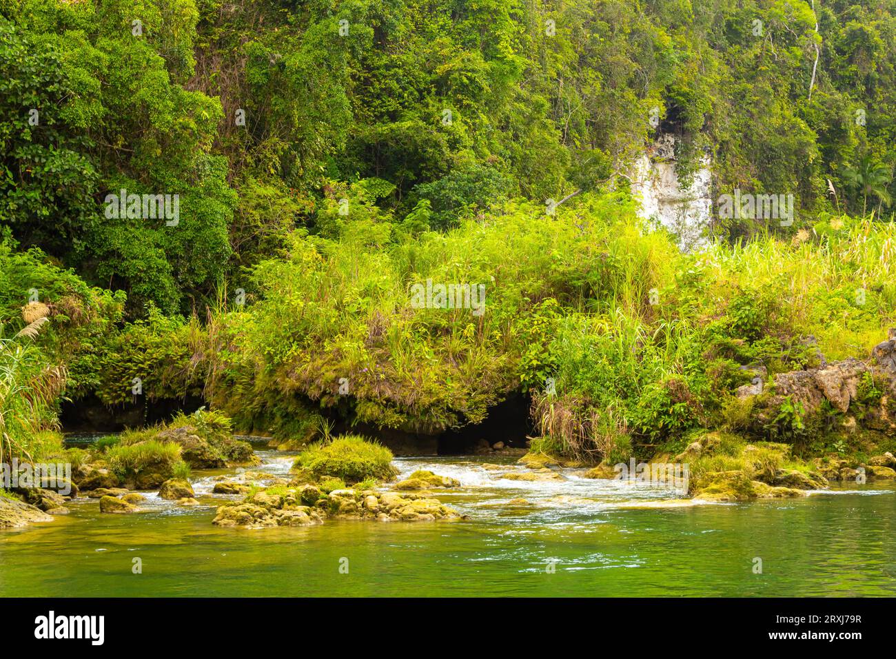 Las orillas de la selva verde del río Loboc en la isla Bohol de Filipinas. Cascada en la parte posterior, fondo Foto de stock