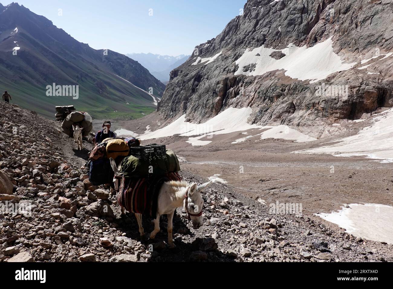 Animales de carga en las remotas y espectaculares montañas Fann, parte del oeste de Pamir-Alay, Tayikistán, Asia Central, Asia Foto de stock