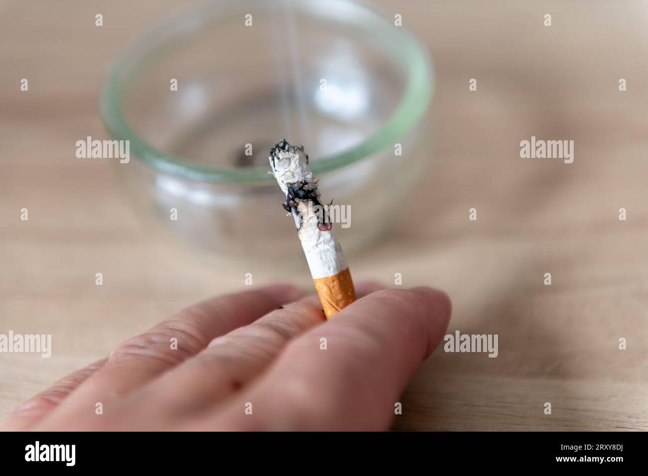 Un fumador sosteniendo un cigarrillo ardiente ahumado en la mano con un cenicero en el fondo. Foto de stock