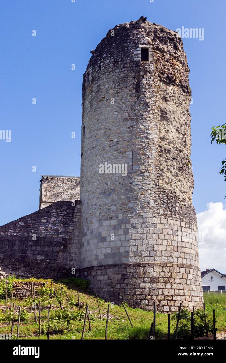 El Chateau de Bellocq, una fortaleza de Bearnaise de finales del siglo