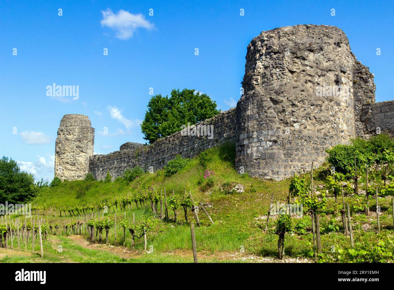 El Chateau de Bellocq, una fortaleza de Bearnaise de finales del siglo