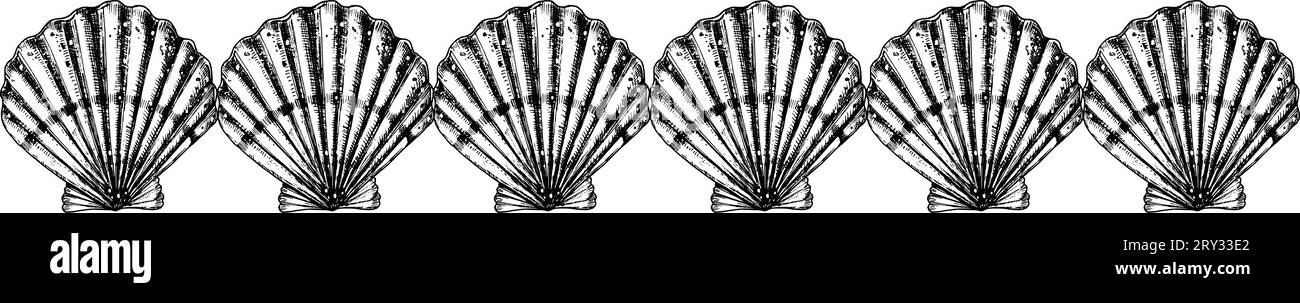 Seashell Seashell frontera sin costuras. Dibujado a mano ilustración vectorial de patrón con conchas de mar de vieira en estilo de contorno. Patrón subacuático pintado por tintas negras sobre fondo blanco aislado para marcos o banner Ilustración del Vector