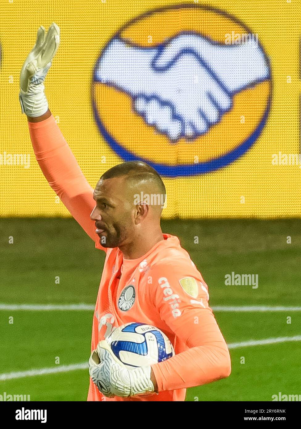 AQUI ESTÁ WEVERTON Y SUS MEJORES ATAJADAS EN EL #BRASILEIRAO 