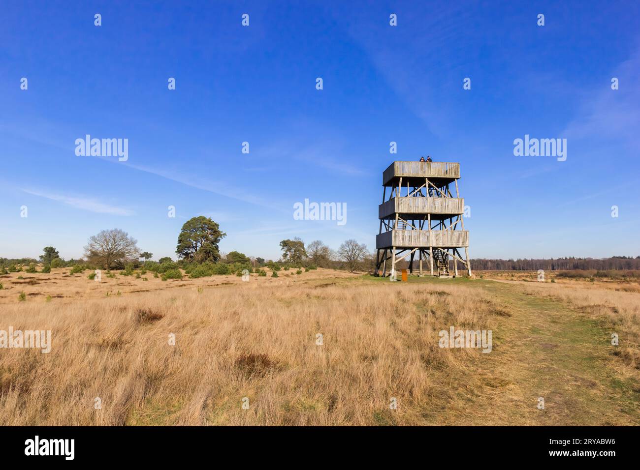 Torre mirador de madera en el parque nacional Drents Friese Wold, Países Bajos Foto de stock