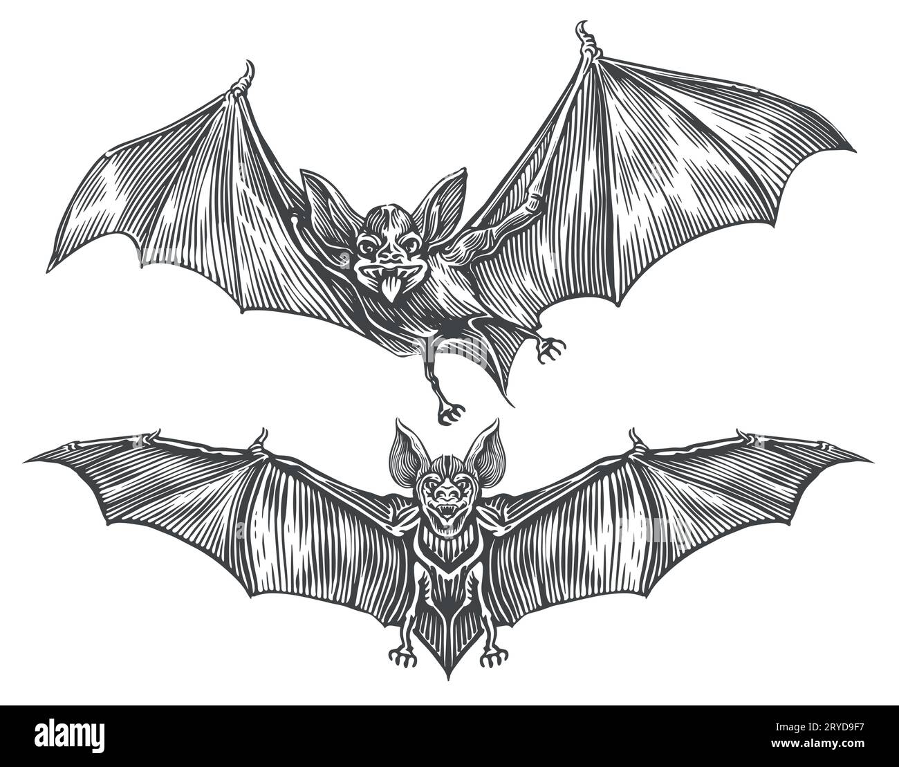 Murciélago vampiro volador. Ilustración vectorial de boceto vintage. Elementos de diseño para la decoración de vacaciones de Halloween Ilustración del Vector