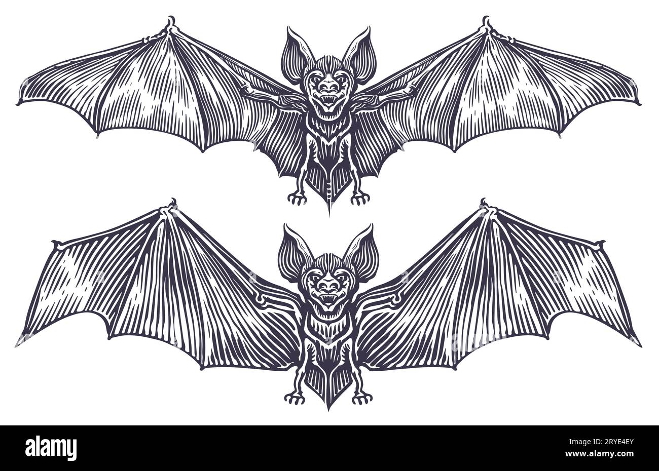 BAT en grabado de estilo gótico. Ilustración vectorial de boceto vintage Ilustración del Vector