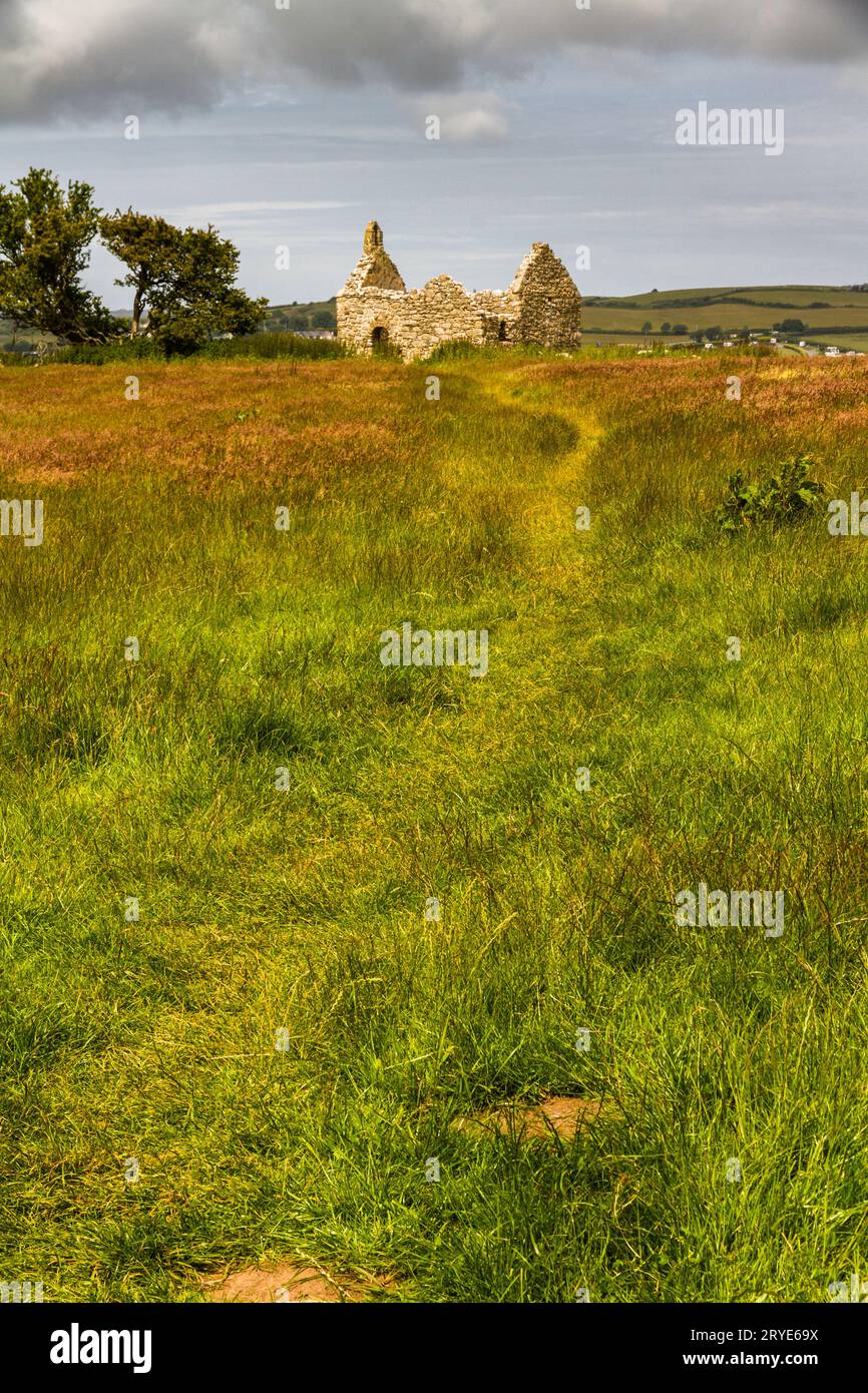 Capel lligwy, ruina de la capilla o iglesia del siglo XII, hierba como copyspace, botton. Cerca de Moelfre, Anglesey, Norte de Gales, Reino Unido, retrato. Foto de stock