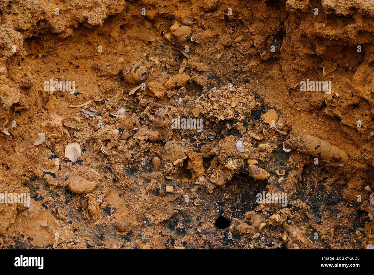 Fósiles en las montañas Jamshoro Foto de stock