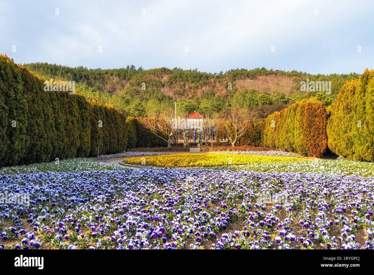 Cheonsaseom Bonsai Park Main plaza vista con varios arbustos y flores