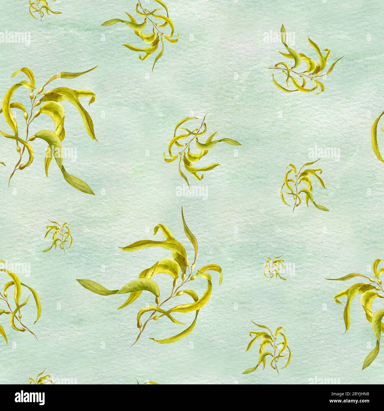 Inconsútil adornado con algas sobre fondo verde suave. Algas amarillas. Ilustración de acuarela pintada a mano con algas frescas. Hierba submarina. Foto de stock