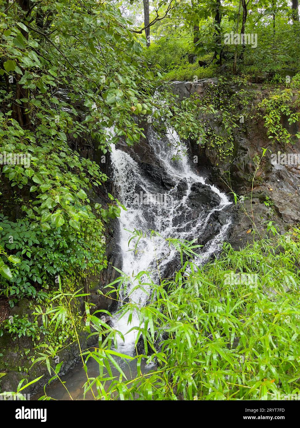 Hermosa pequeña cascada rodeada de exuberante vegetación verde durante la temporada del monzón. Foto de stock