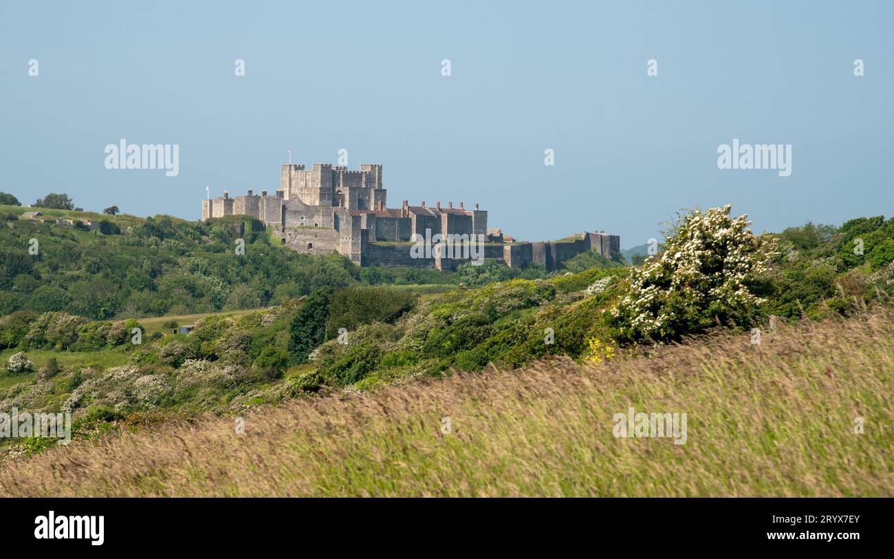 Castillo de Dover desde acantilados blancos, sureste de Inglaterra Kent Reino Unido Foto de stock