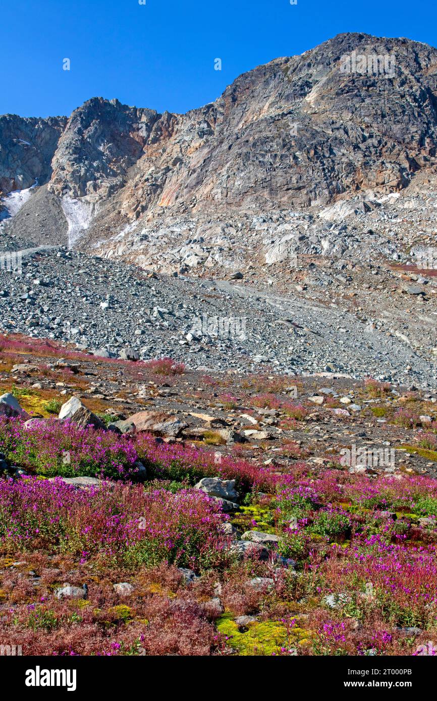 Los acantilados de la cumbre en Whistler Mountain Foto de stock