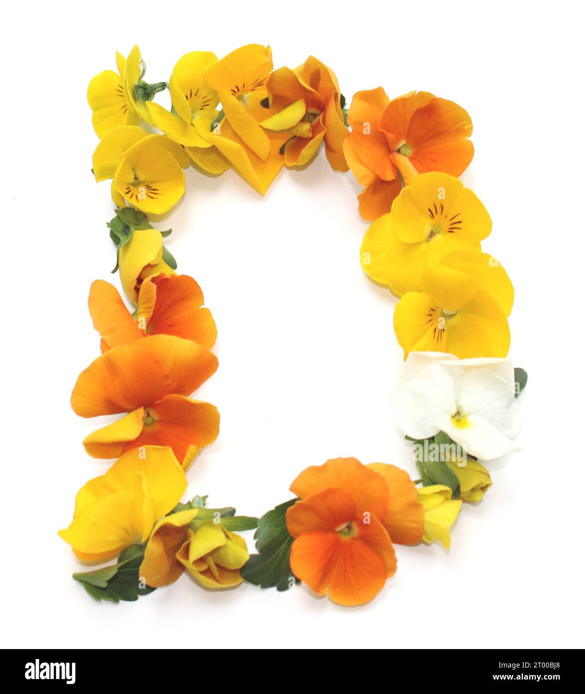 d, arreglos de flores naturales con flores frescas reales amarillas anaranjadas alfabeto de letras combinadas para tarjetas de agradecimiento de boda del día de San Valentín de la madre Foto de stock