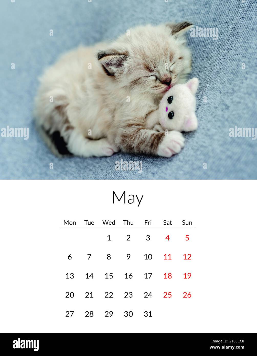 Mayo 2024 Foto calendario con gatos lindos. Plantilla de planificador