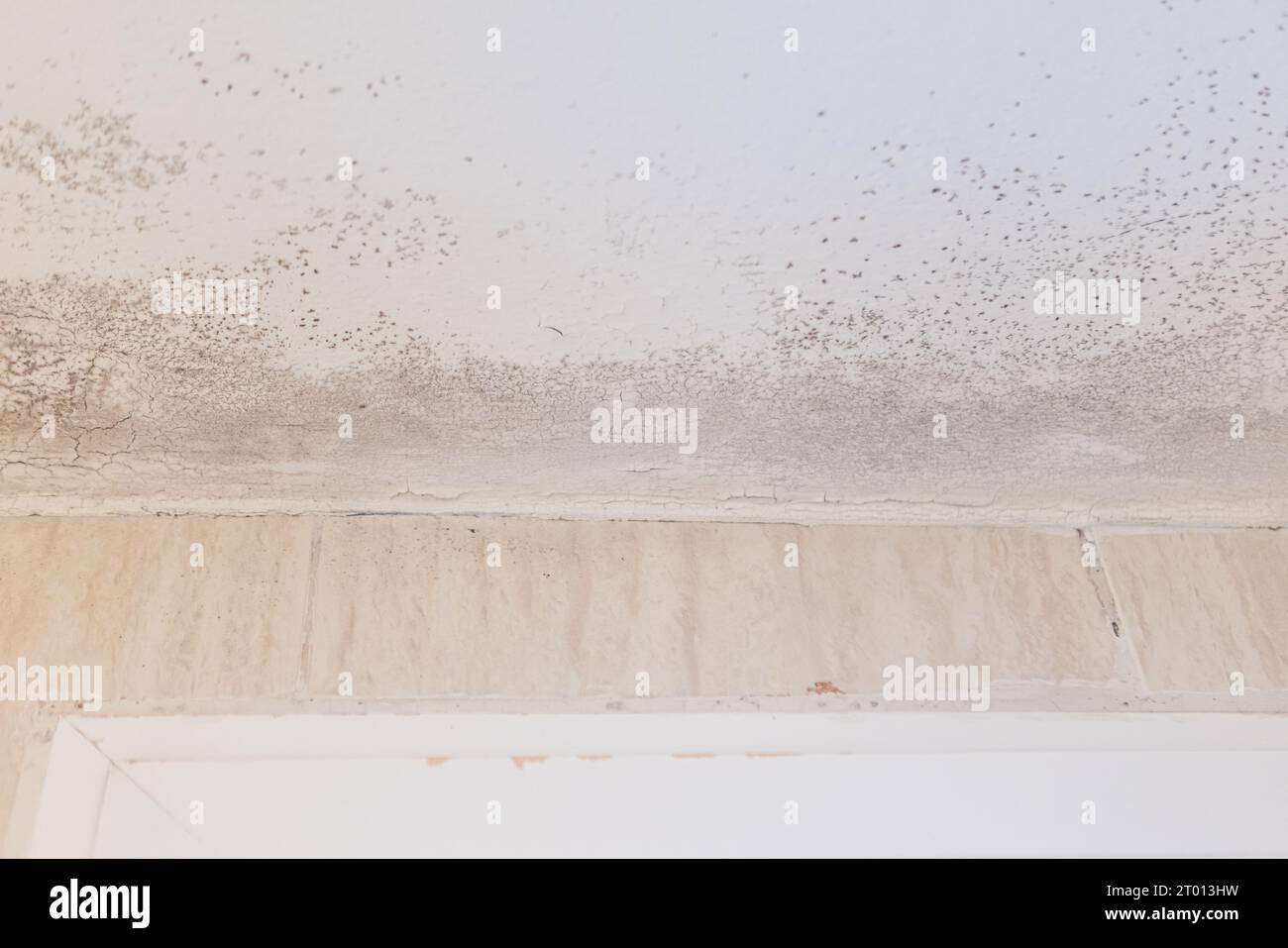 Pared y techo de una casa con humedad, hongos y moho. Concepto de condensación, daño, casa, fuga, humedad, baño, reparación, saneamiento, respirato Foto de stock