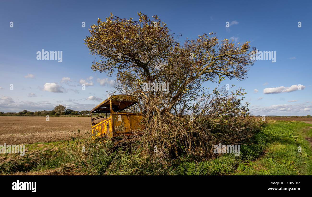 Imagen de cerca de un árbol que crece a través de un viejo tractor agrícola abandonado. El tractor se encuentra en una zona remota y desierta de tierras de cultivo planas. Foto de stock