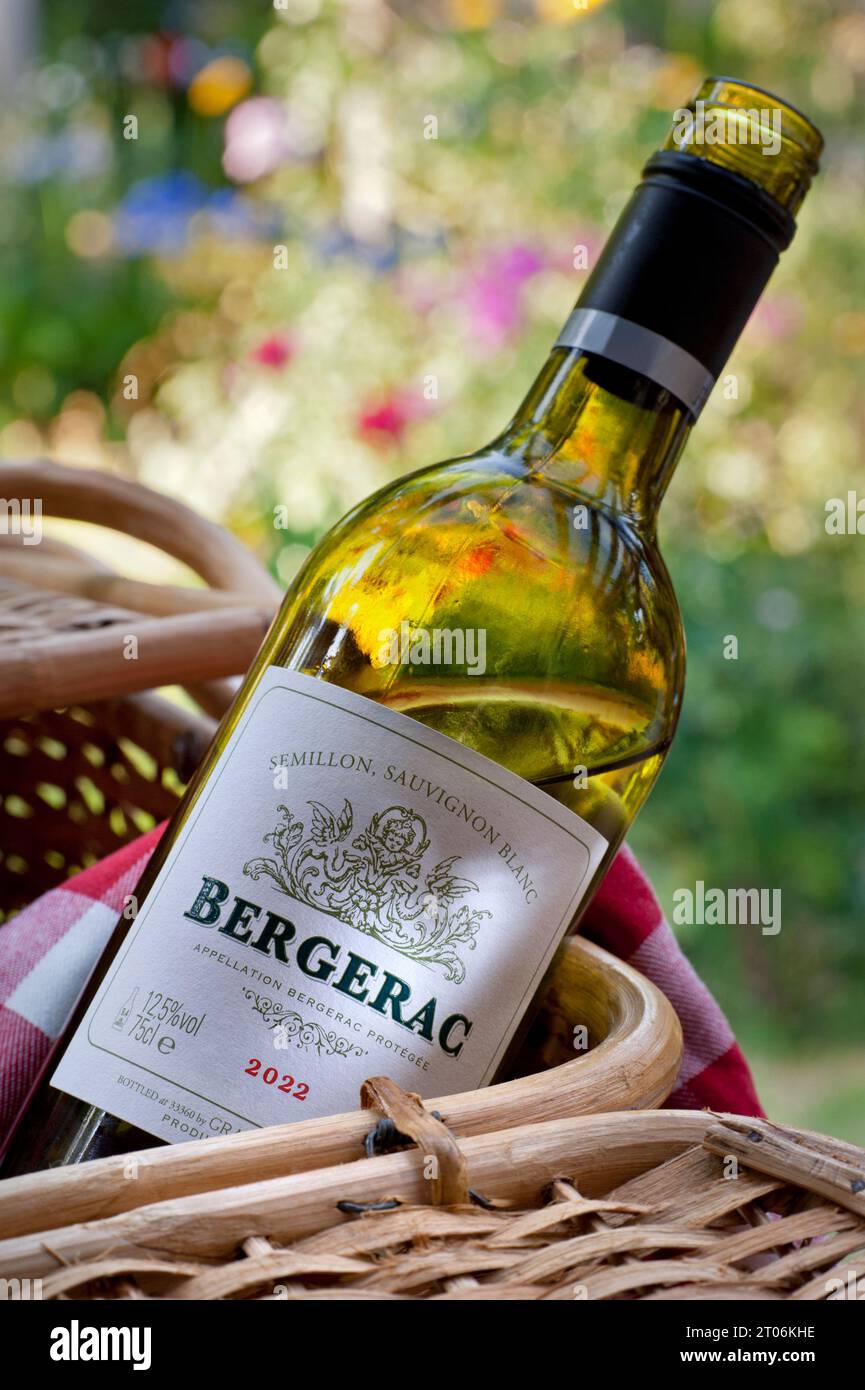 Etiqueta de botella de vino blanco Bergerac 2022 en cesta de picnic en soleado jardín floral al aire libre. Vino blanco seco del suroeste de Francia. Semillon/Sauvignon Blanc Foto de stock