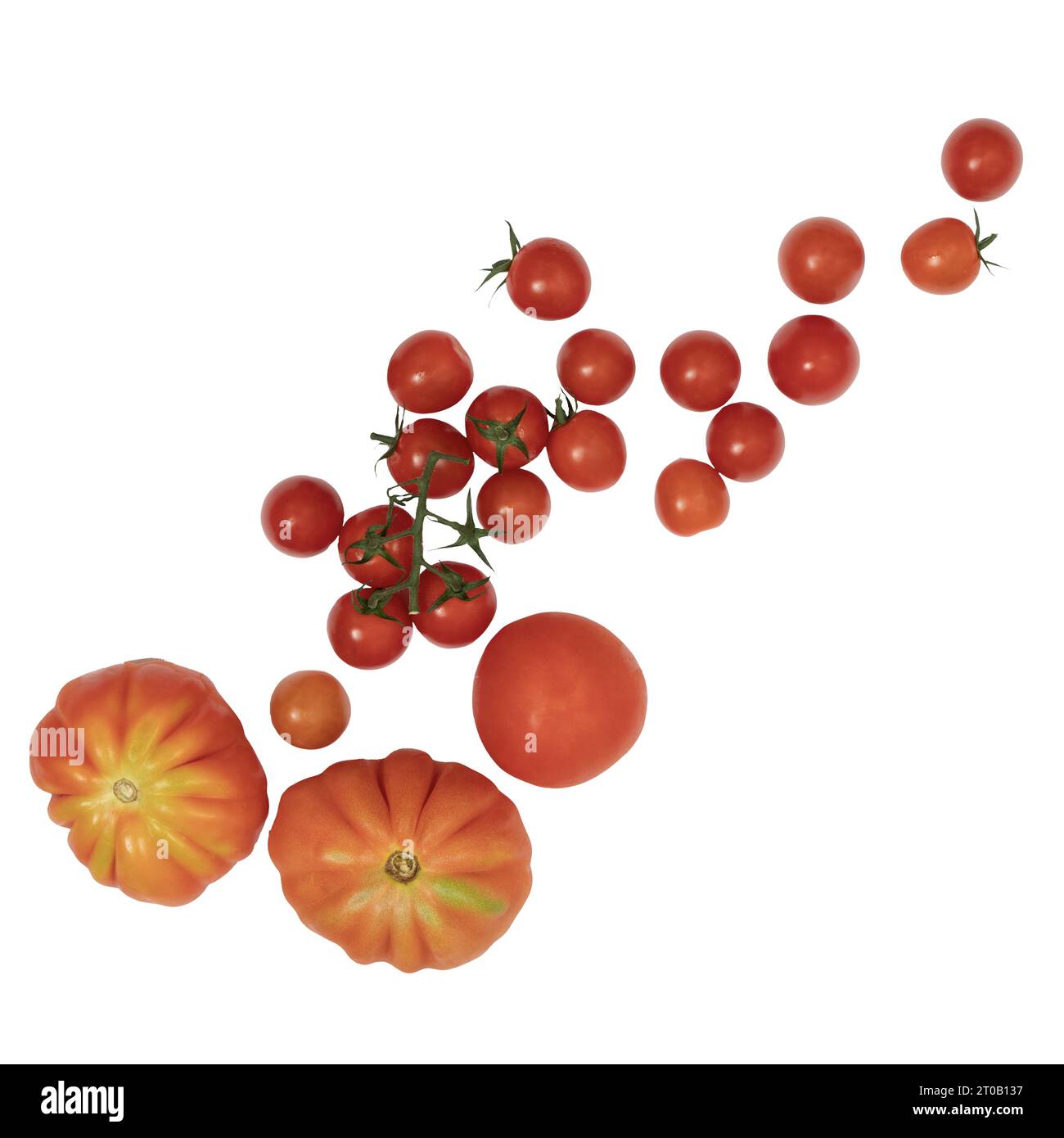 algunos tipos de tomates sobre un fondo transparente Foto de stock