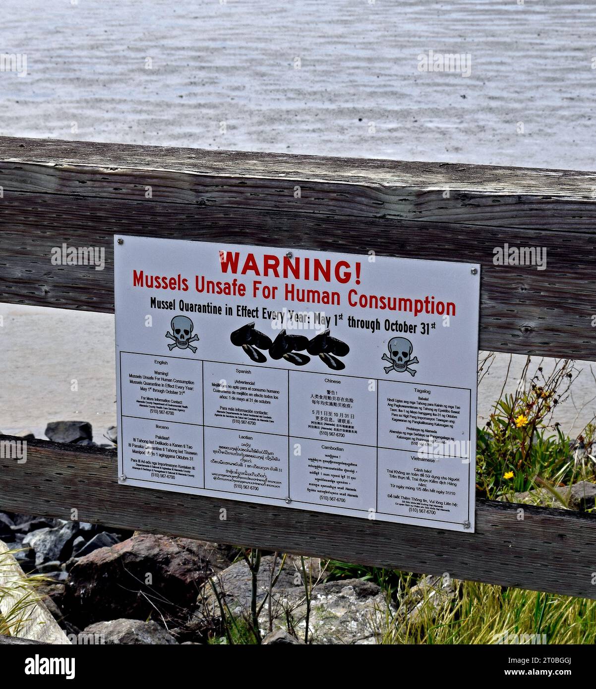 Advertencia, cuarentena de mejillones, inseguro para el consumo humano entre el 1 de mayo y el 31 de octubre a lo largo de San Francisco East Bay, California Foto de stock