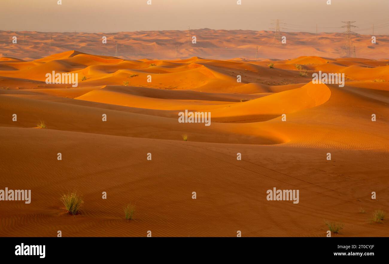 Impresionante vista del desierto y las dunas de Dubai. Gente caminando temprano por la mañana en el desierto Foto de stock