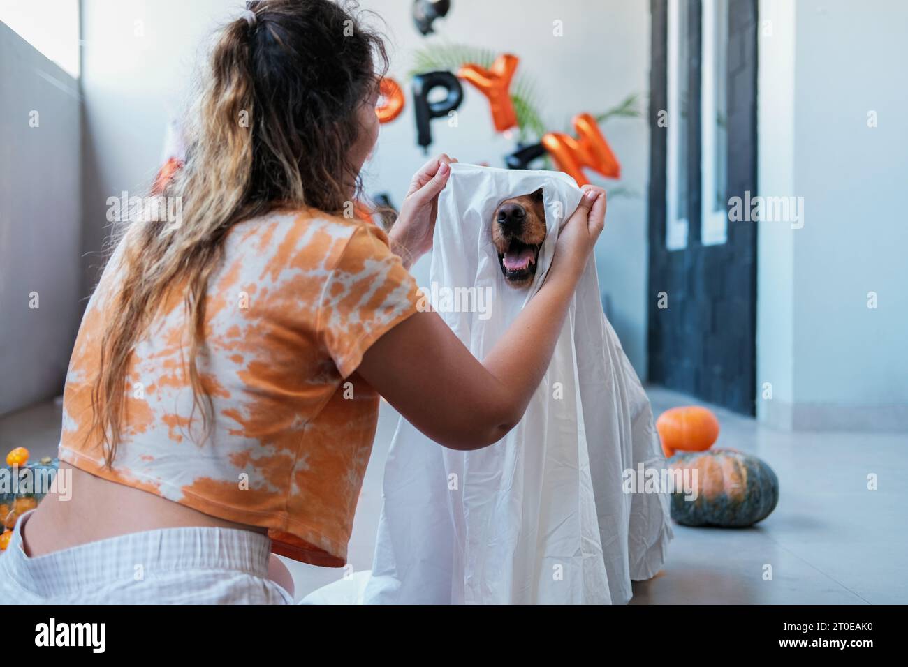 Creativo disfraz de halloween para un adulto un fantasma de una sábana  blanca con gafas de sol negras bailando en un campo de otoño concepto de  truco o trato