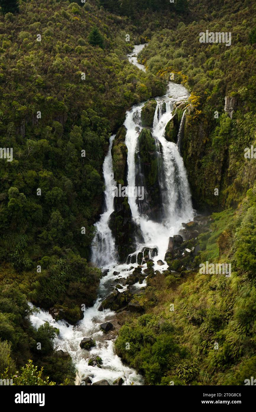 Ve a Chasing Waterfalls Foto de stock