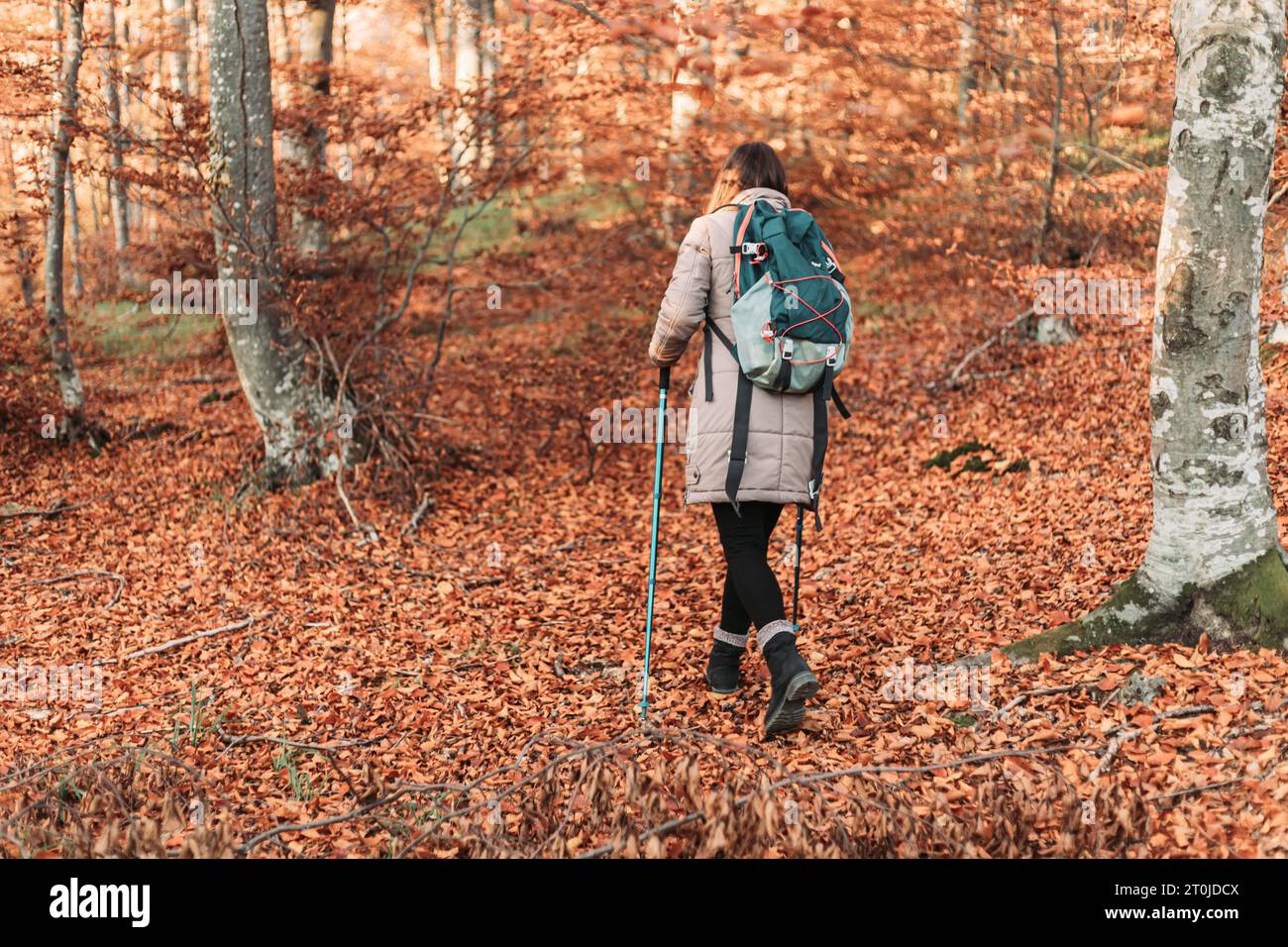 Una chica morena caminando por el bosque de otoño Foto de stock