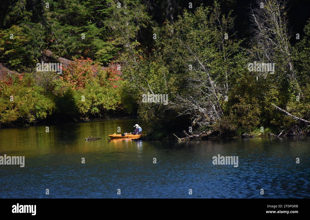 El kayakista descansa junto a la costa después de flotar en Clear Lake en Oregon. El otoño se está convirtiendo en follaje a lo largo de la costa. Foto de stock