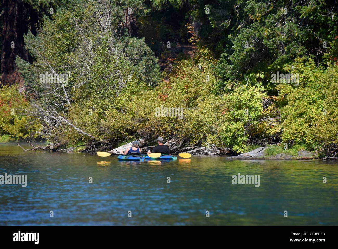 Pareja flotan cerca de la costa en sus kayaks. Están disfrutando de un día soleado en Clear Lake en Oregon. Foto de stock