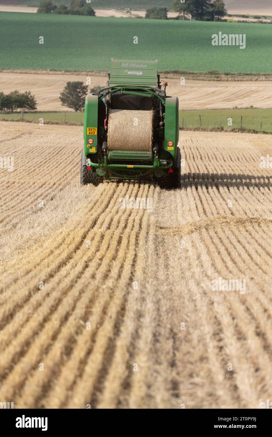 Una empacadora McHale en un campo de cebada recortada que produce un fardo redondo de paja visto desde la parte trasera Foto de stock