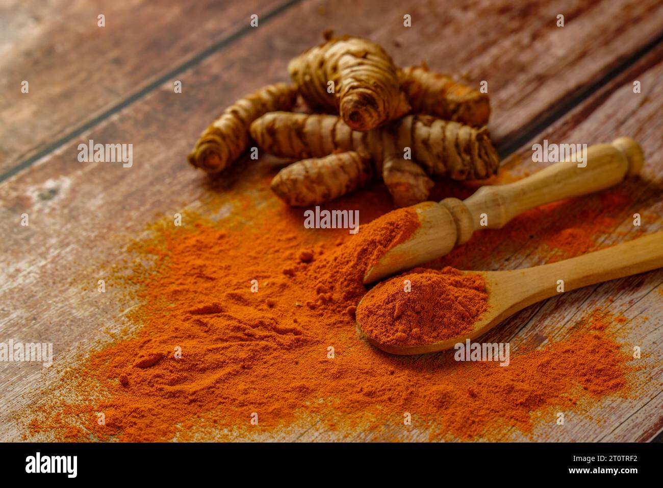 raíz de cúrcuma fresca y cúrcuma molida en una cuchara de madera Foto de stock