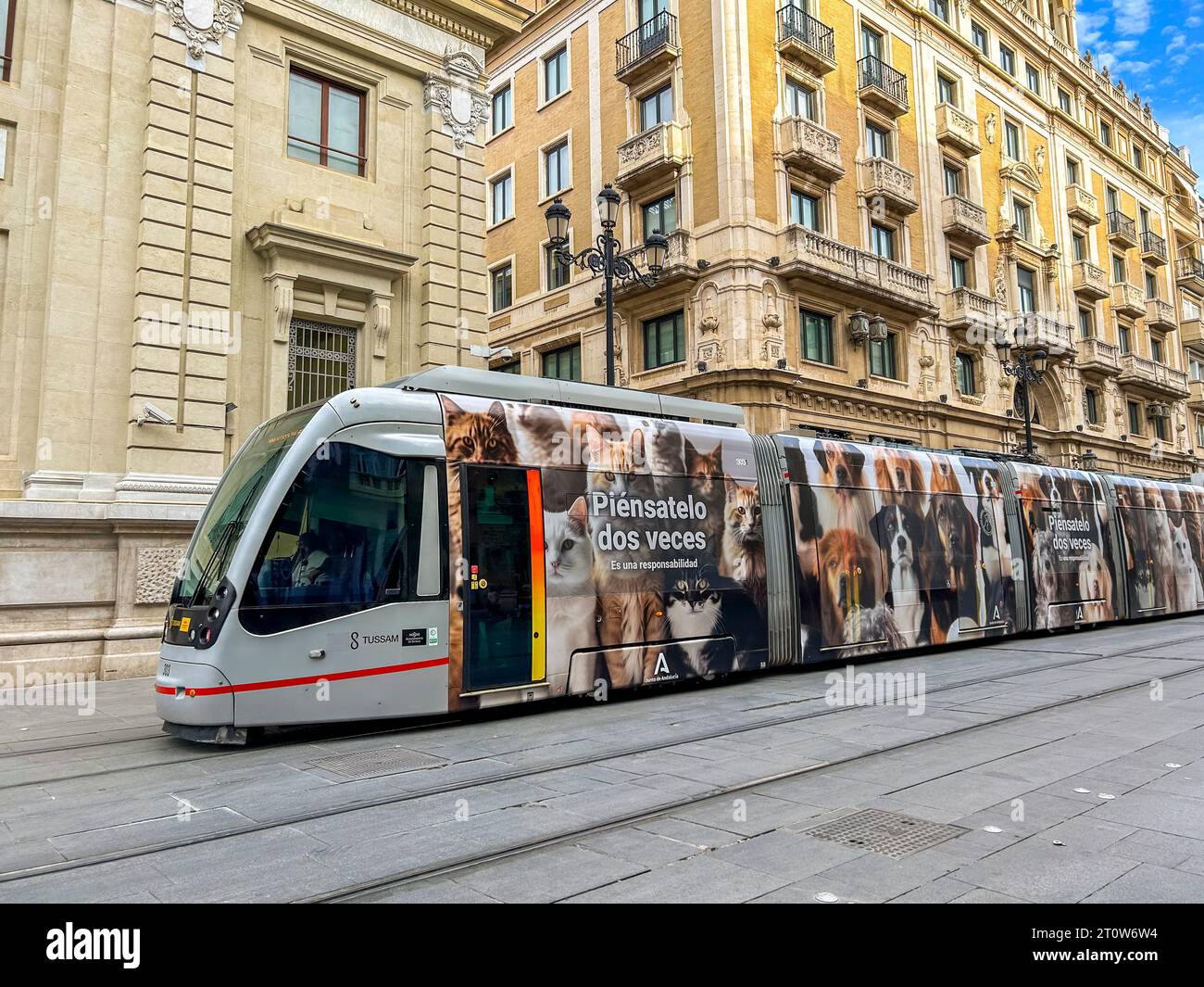Sevilla, España, Transporte Público, Tranvía en Plaza San Francisco, Escena de calle, Publicidad lateral, Barrios Foto de stock