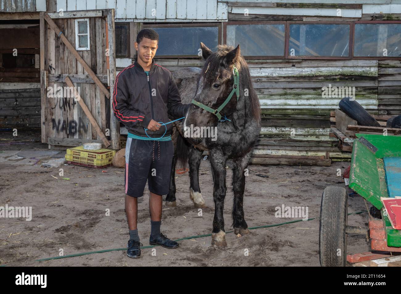 Un joven mestizo de pie junto a su caballo de carro, utilizado para tirar de carros para transportar mercancías en la comunidad pobre de Sudáfrica Foto de stock