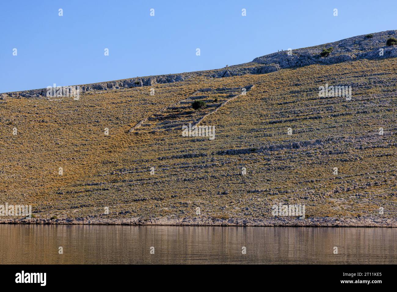 un recinto de pared de piedra seca se destaca contra la escasa vegetación de las islas kornati en croacia Foto de stock
