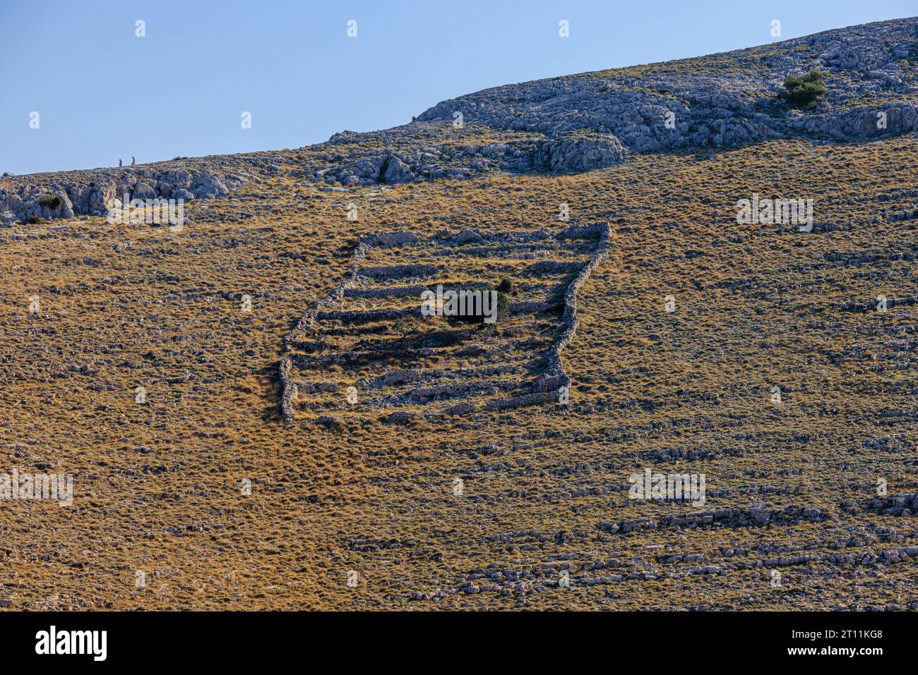 un recinto de pared de piedra seca se destaca contra la escasa vegetación de las islas kornati en croacia Foto de stock