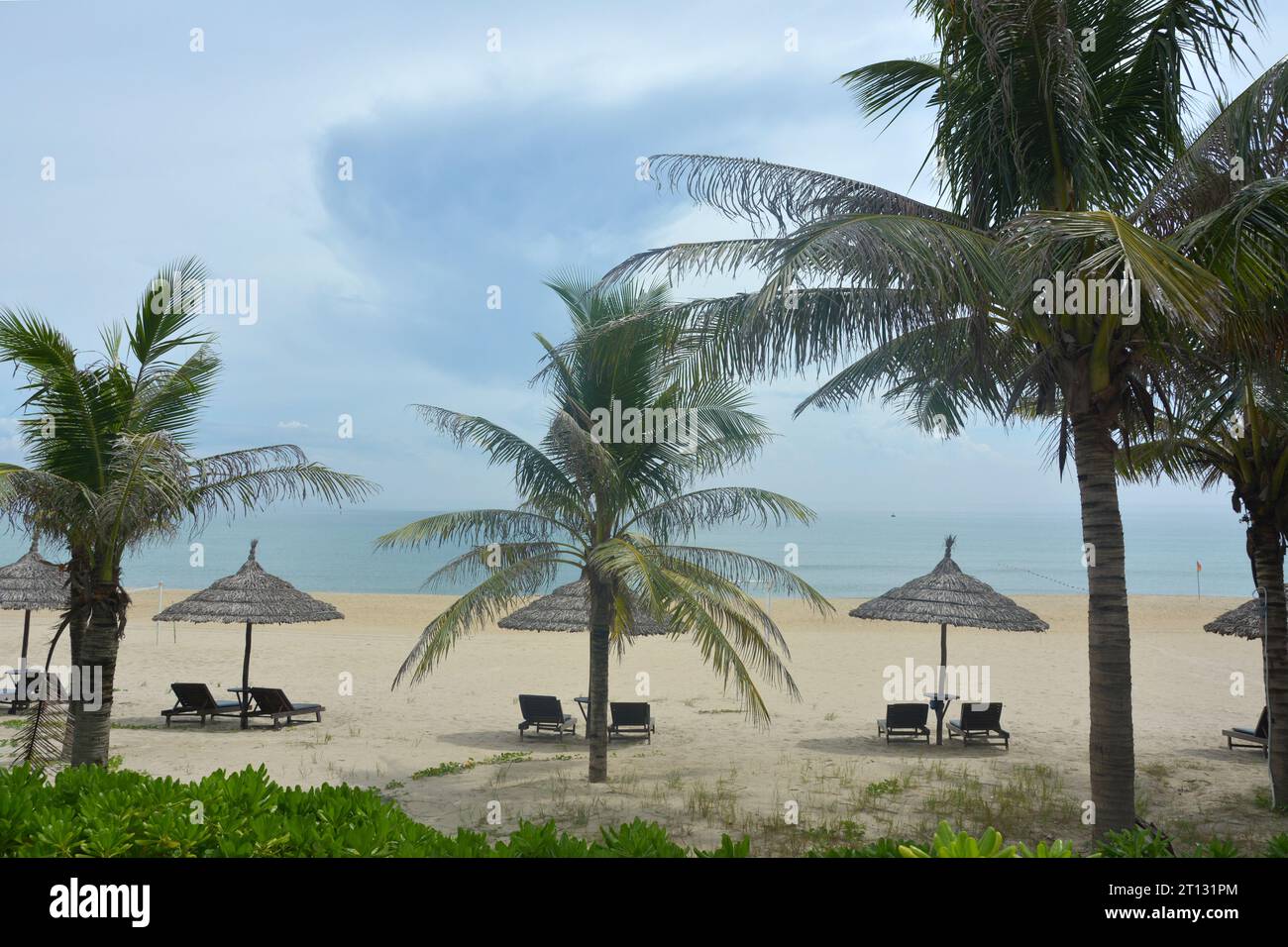 árboles y sillas con sombrillas en la playa en el día nublado Foto de stock