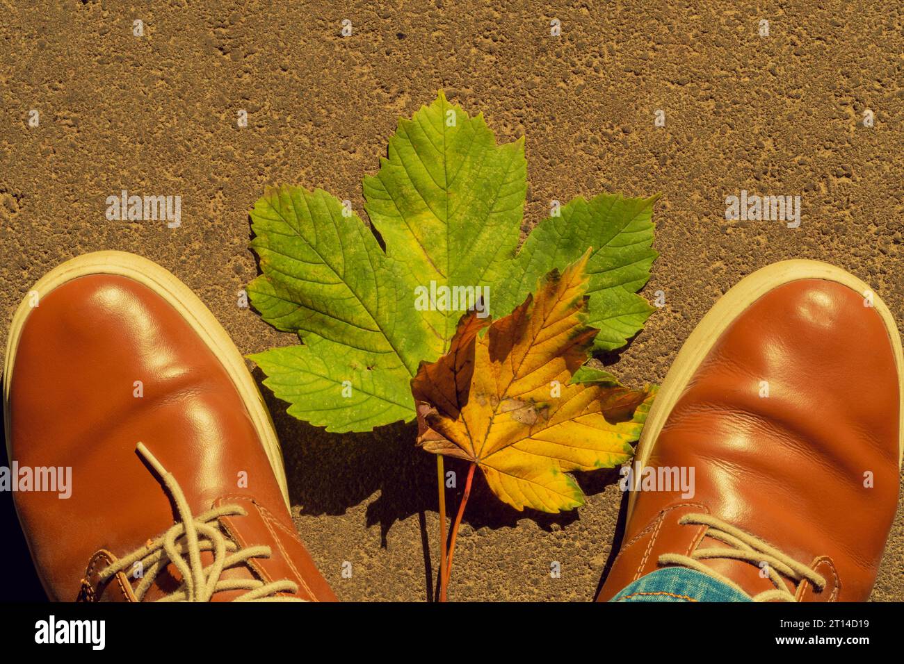 Zapatos de cuero de correa negra con piel sintética y medias amarillas en  los pies de niña Fotografía de stock - Alamy