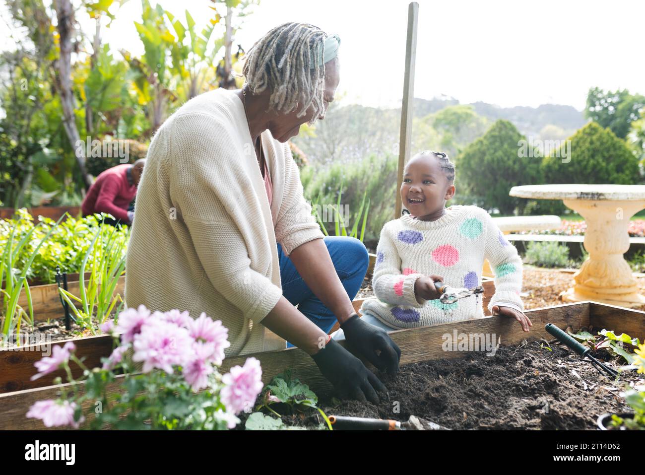 Feliz abuela y nieta afroamericana plantando plantas en jardín soleado Foto de stock