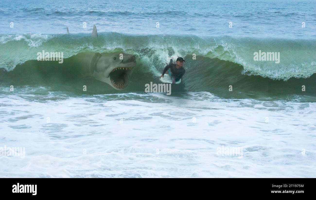 Gran tiburón blanco a punto de atacar a un hombre en un bodyboard Foto de stock