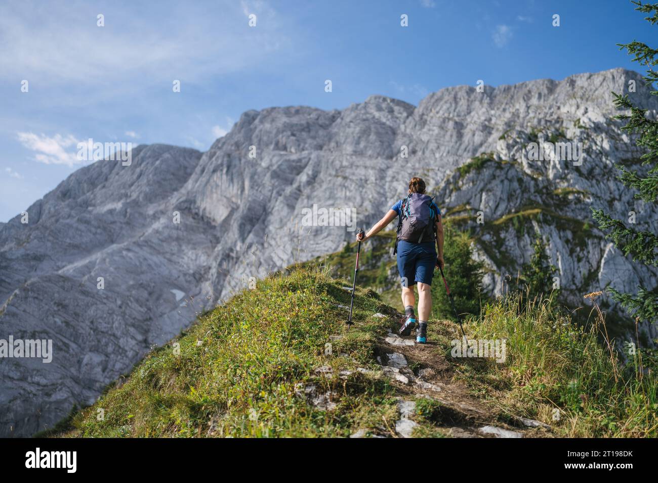 Vista trasera de una mujer caminando en los Alpes austriacos cerca de Salzburgo, Austria Foto de stock