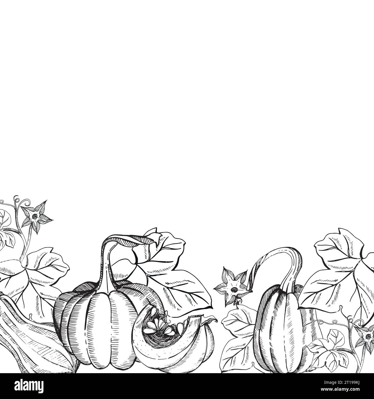 Composición sobre un tema de otoño. Calabazas y hojas de calabaza dibujado a mano en gráficos sobre un fondo blanco. Calabaza entera, rebanada de calabaza, hojas Ilustración del Vector