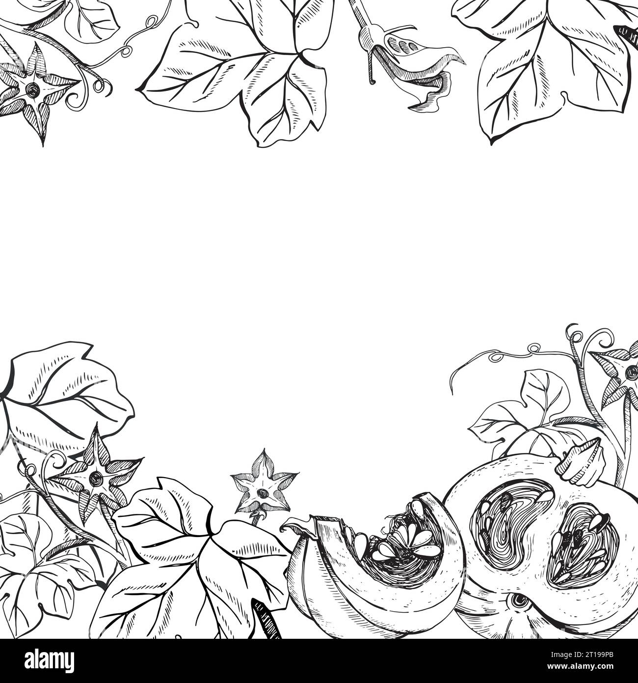 Marco cuadrado sobre un tema de otoño. Calabazas y hojas de calabaza dibujado a mano en gráficos sobre un fondo blanco. Calabaza entera, rebanada de calabaza, hojas Ilustración del Vector