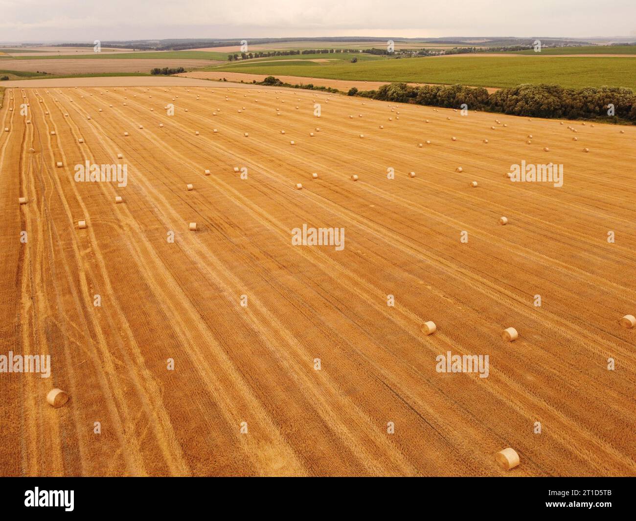 Vista aérea arriba abajo, rollos de paja de trigo en el campo Foto de stock