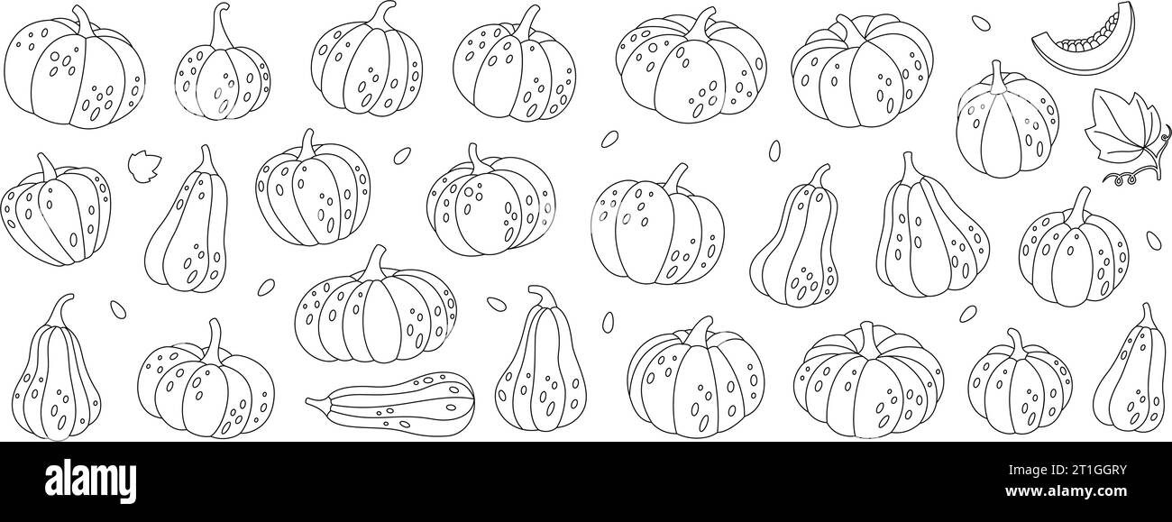 Conjunto de contorno de calabazas. Calabazas de otoño. Otoño de halloween verduras. Ilustración vectorial. Ilustración del Vector