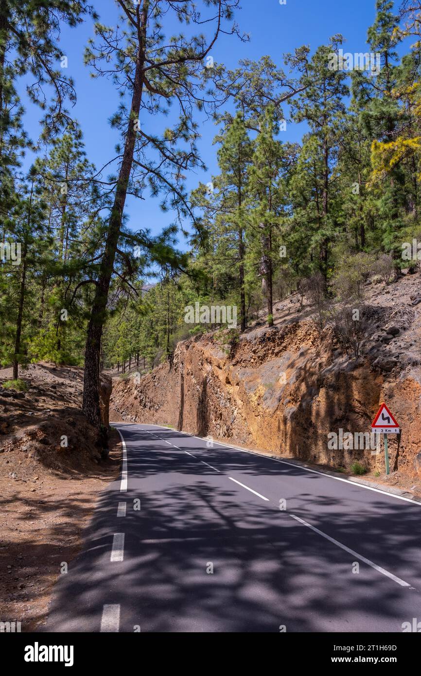 Hermosa carretera forestal en el camino hasta el Parque Natural del Teide en Tenerife, Islas Canarias Foto de stock