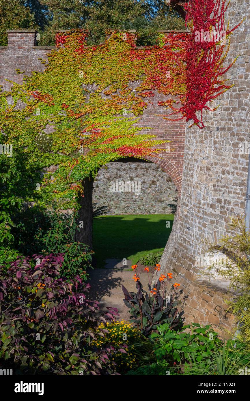 Jardines del castillo de Walmer, en Walker cerca de Dover y Deal en Kent. Construido en 1540 y más tarde uno de los hogares de la Reina Madre. Foto de stock