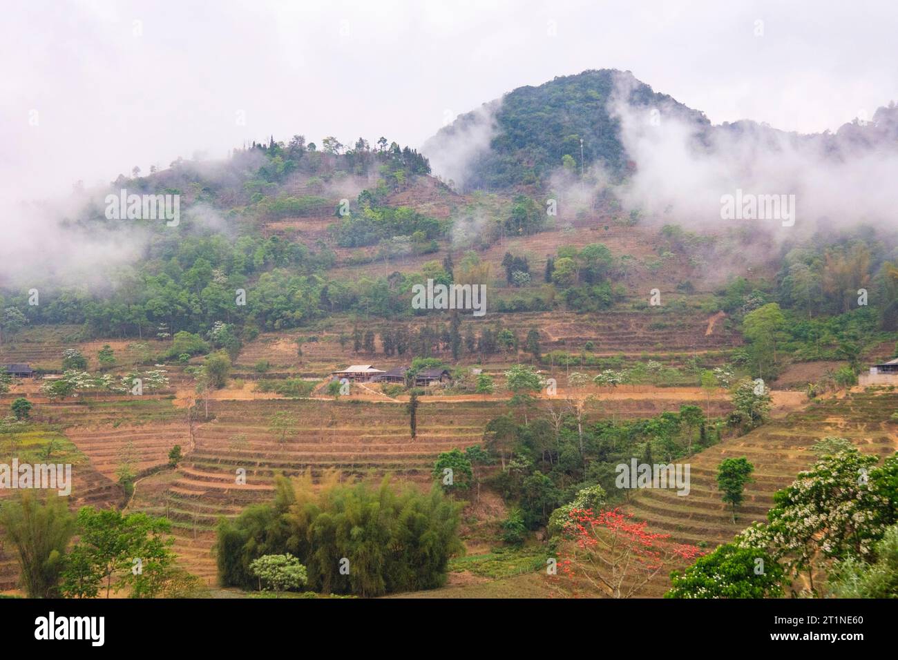 CAN Cau, Vietnam. Paisaje escénico, provincia de Lao Cai. Foto de stock