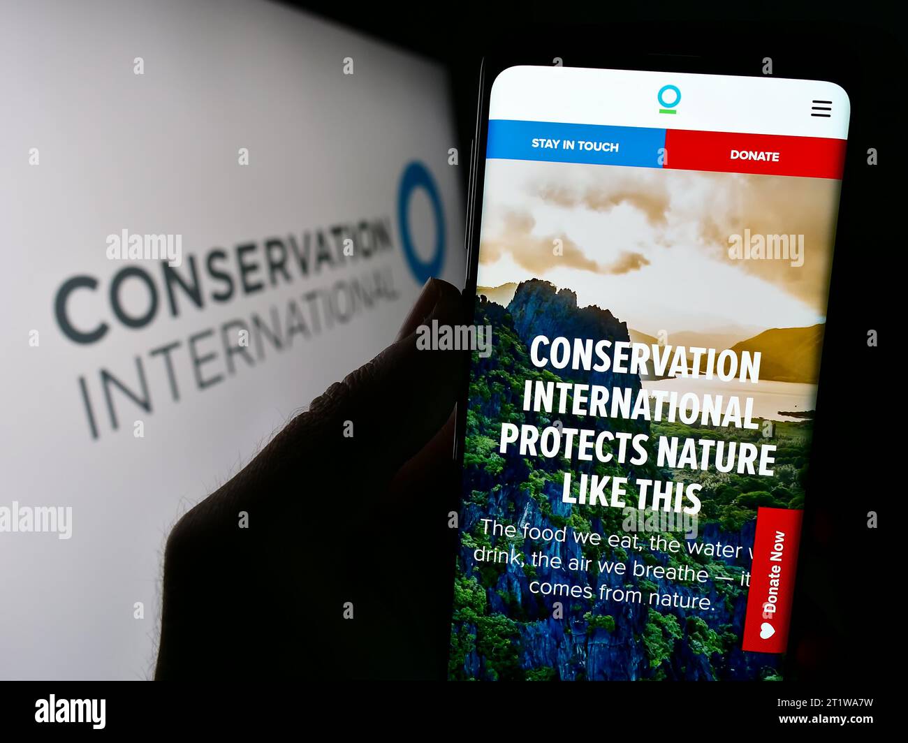 Persona que sostiene el teléfono móvil con la página web de la organización ambiental Conservación Internacional (CI) con el logotipo. Enfoque en el centro de la pantalla del teléfono. Foto de stock